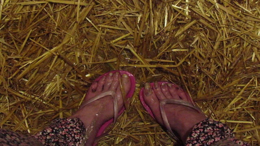 Pissy Stable Feet (Barefoot Stables)