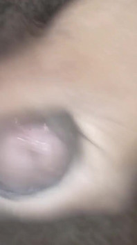 Il mio cazzo è così folle