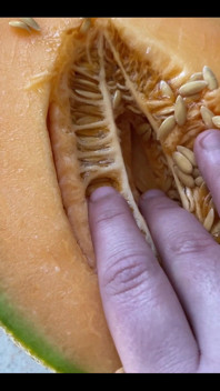 This Is What I Want You to Do to My Hairy Pussy...