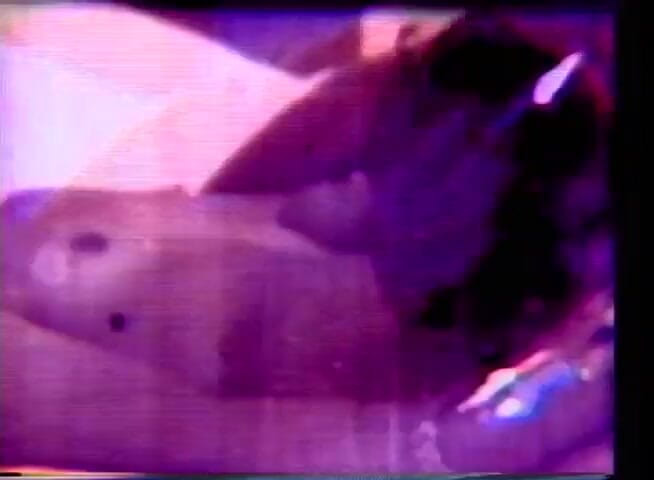 Vintage Usa: Vintage sex