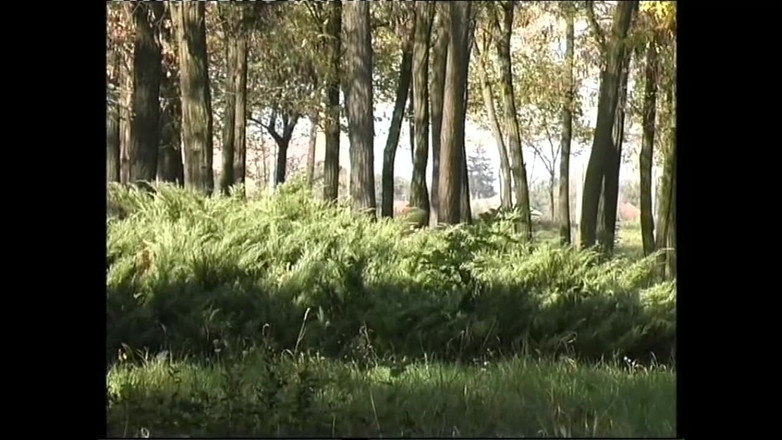 Xtime Network: Skuad Tembak Dubur - Episod 1