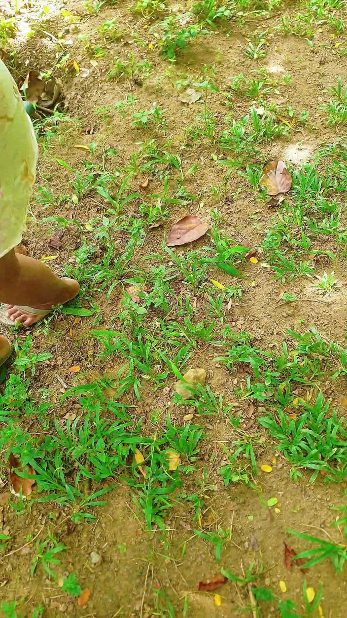 Tiyana: Un mec infidèle paye sa chaudasse maison pour voir son...