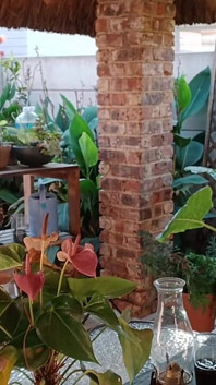 Komşu karımla verandada açık havada mastürbasyon