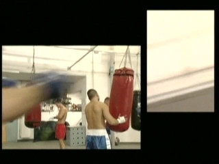 Falcon International: Knockout 2