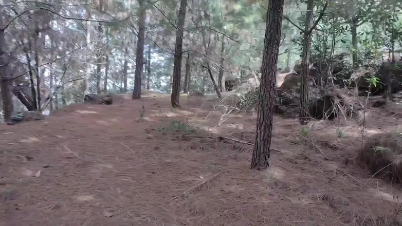 Icyhot707: Cruising in the Woods