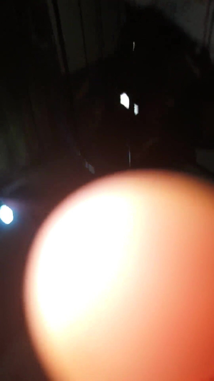 E-Alfa: 내 상사와 오럴과 질 섹스