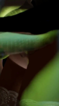 Diosa el cortafuegos del - animación 3D