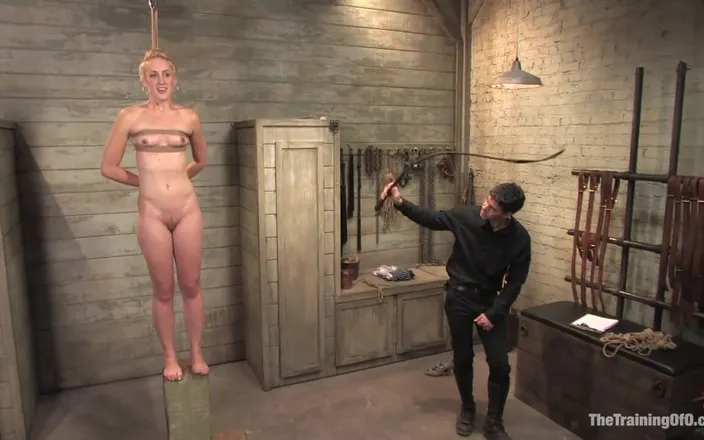 The Training of O by Kink: The Training of Dylan, Day One