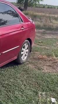 Вона Знала, На Що Йде