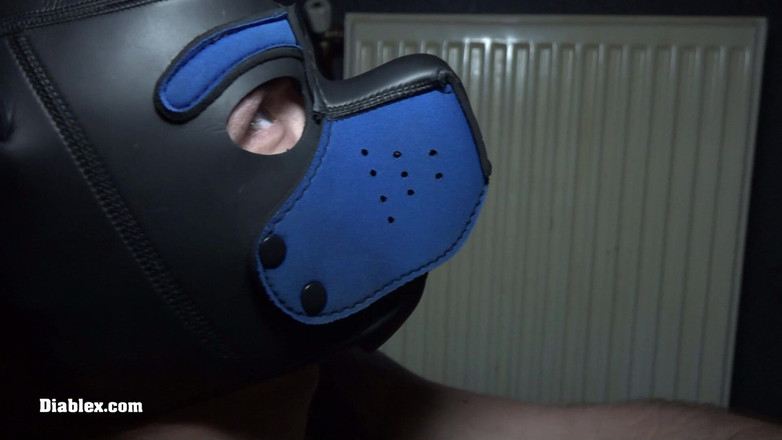 Diablex: Paroki Sacha