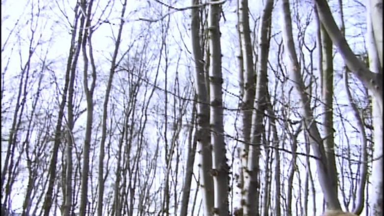 Enema Extreme And Top Girls: Enema extreme - ngentot dan kencing di pantat dan ngentot habis-habisan