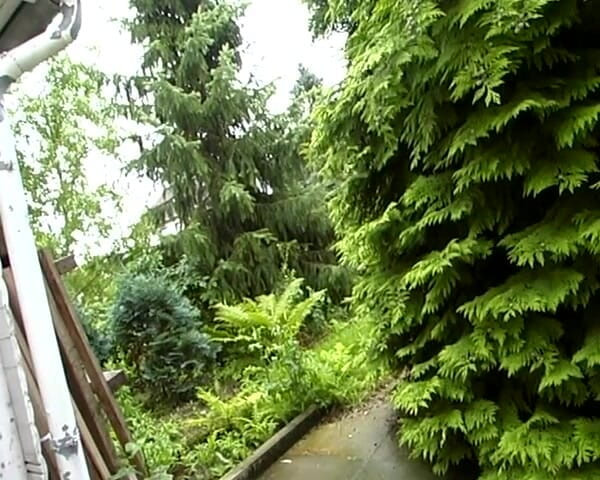 German Amateur Videos: Nevlastní dcera hladová po ptákovi německá teen potěšující nevlastní otec