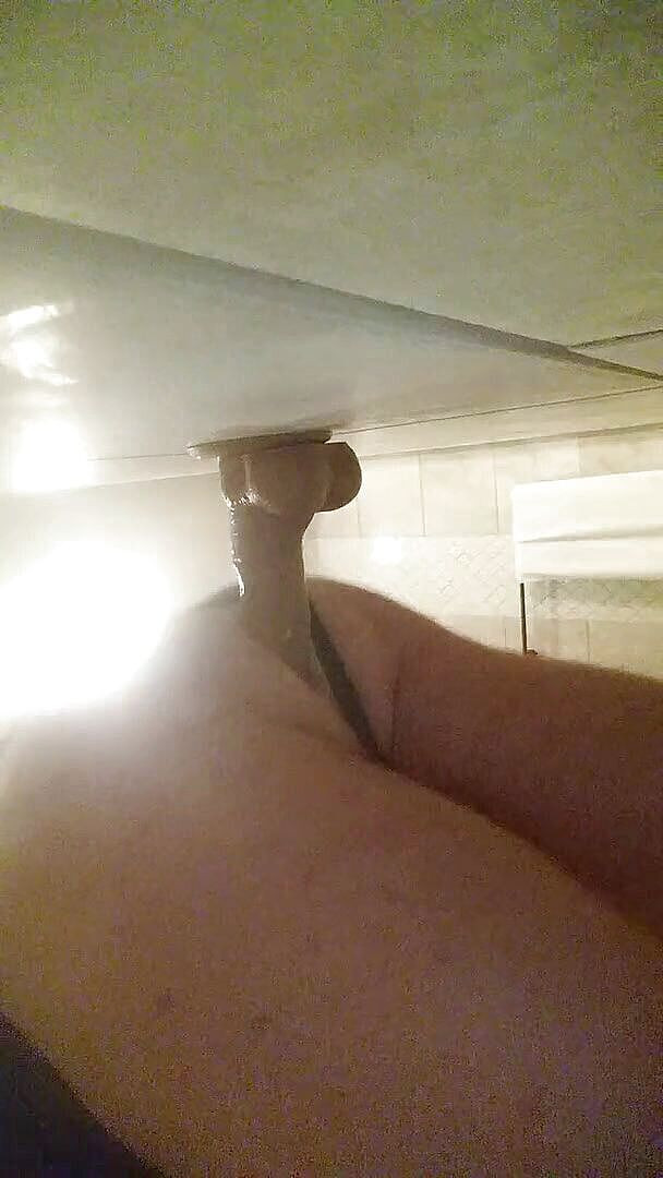 Lady Catherine's Domain: 8" dildo muurlam