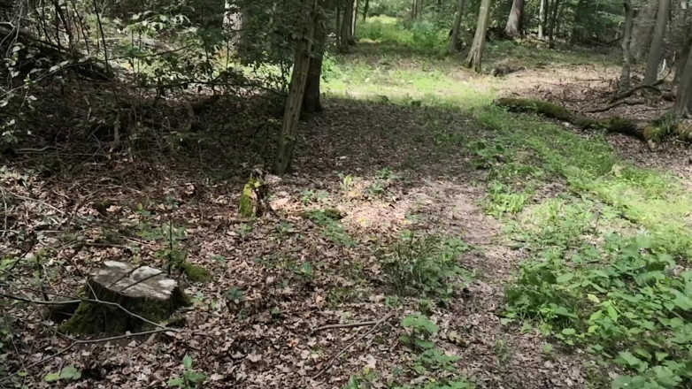 Bouncy Tits Action: Ass spanking in woods