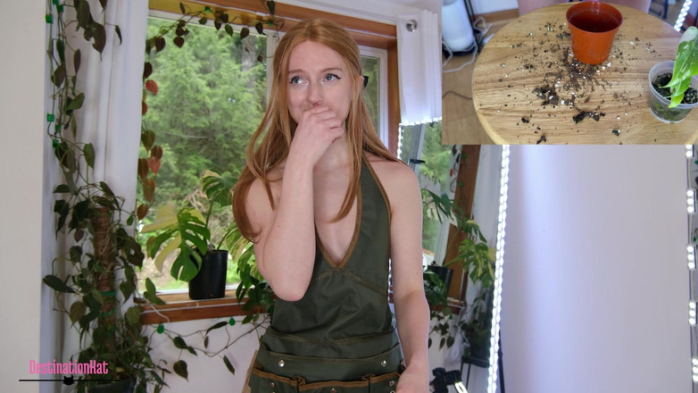 Destination Kat: Tuinieren met Kat- het verpotten van monsteras Sfw