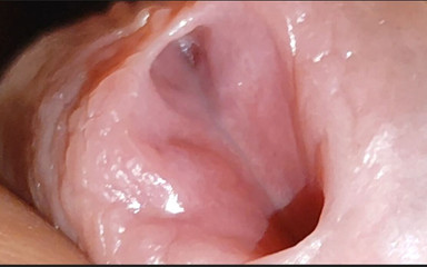 Straight Daddy Club: Amazing Glans