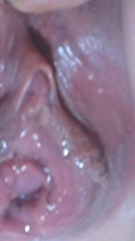 Close up Pis Compilatie