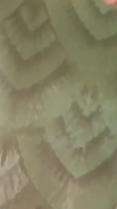 Katyakoroleva and Cum on Face