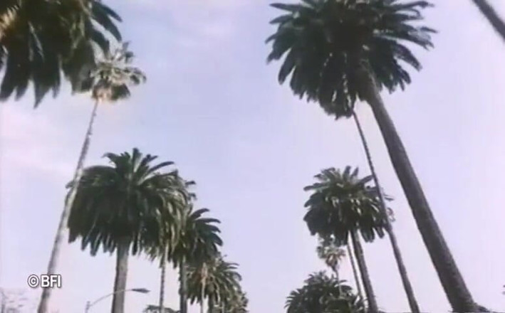 Vintage Vixens: 比佛利山庄复古性爱录像 - 荷兰字幕
