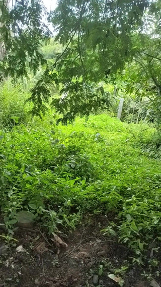 Mg3947731: Marido esposa completo deshi sexy videos