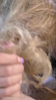 Мелоді і Кімберлі в тріо з дрочка волоссям