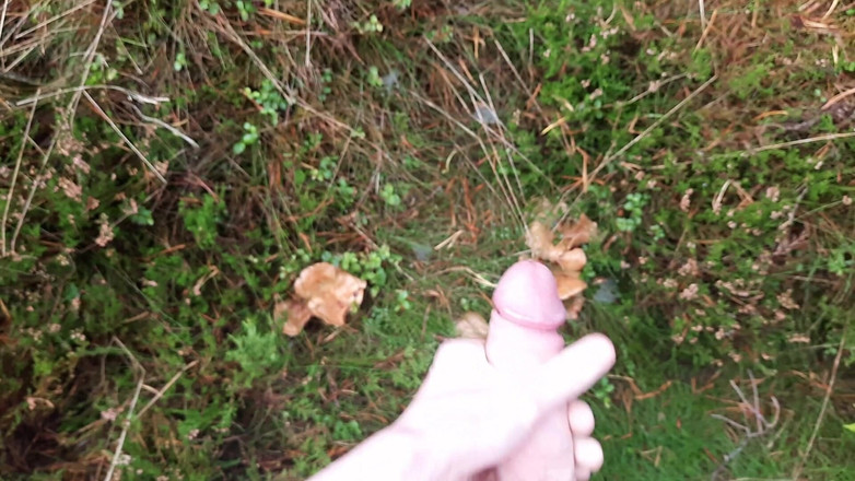 Forest Boi: Ngocok kontol di luar ruangan