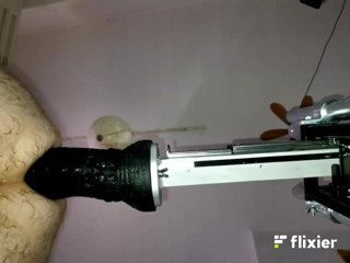 Fuck machine massaker: Mr. Hankey's Dragon Dildo Xl - inserare completă pe la spate,...