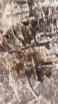 Outdoor Pisse auf die Pflanze, Strippen und Hocken im Garten