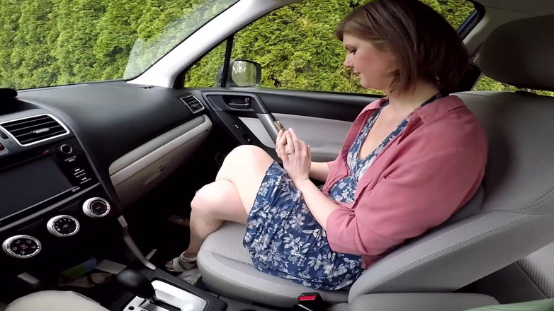 Housewife Ginger: In Rental Car with Co-worker
