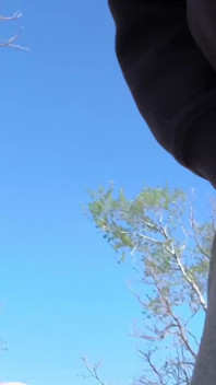 Public Sex in the Park Almost Caught