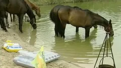Açık havada işiyor