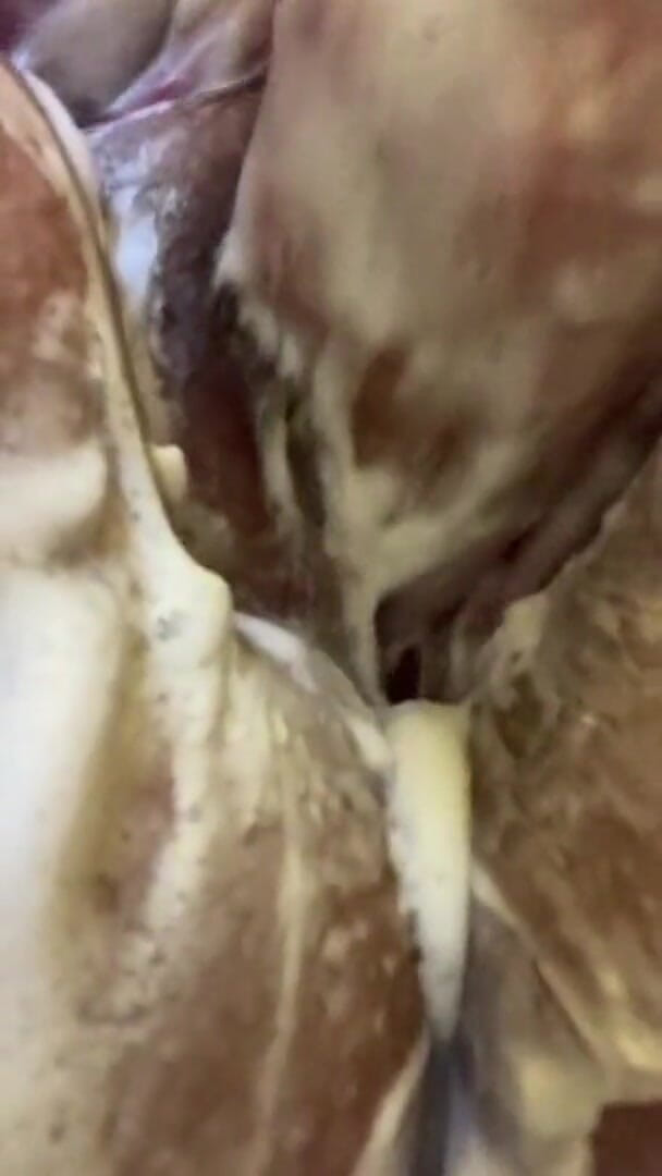 Real homemade BBW BBC porn: Bbwbootyful met een bad dat mijn dikke haar poesje inzeept