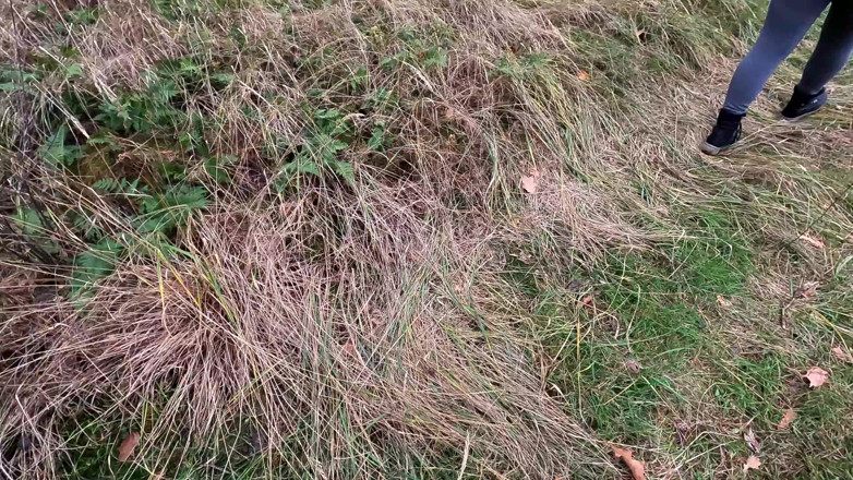 Bouncy Tits Action: Breastslapping Outdoor