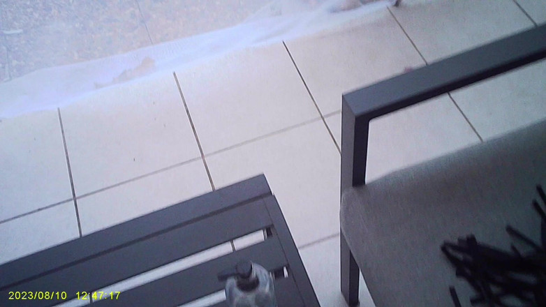 Sofy13: Allarga Il Mio Pungiglione E Scopa a Fondo Il Mio...