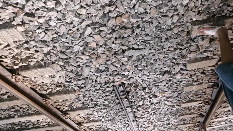 Tina Baby: Down South Beach sexuální pracovnice