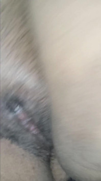 Anal Pregnant