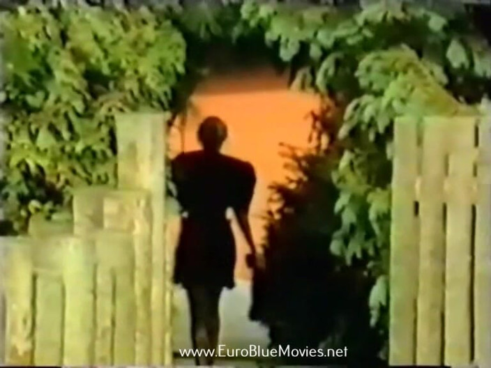Euro Blue Movies: Weduwen in een seksrazernij 1991