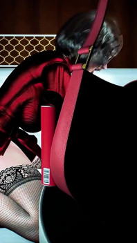 The 3D Vixen Files: Curves Beyond Imagination - 3D Animation Hentai