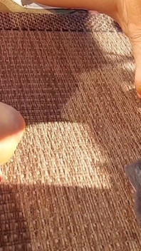 Amateur blonde rijpe vrouw geniet van naakt poseren en voetenaanbidding