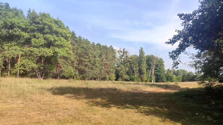 Irochka3008: Голий біля річки на людях, сексуальний оргазм