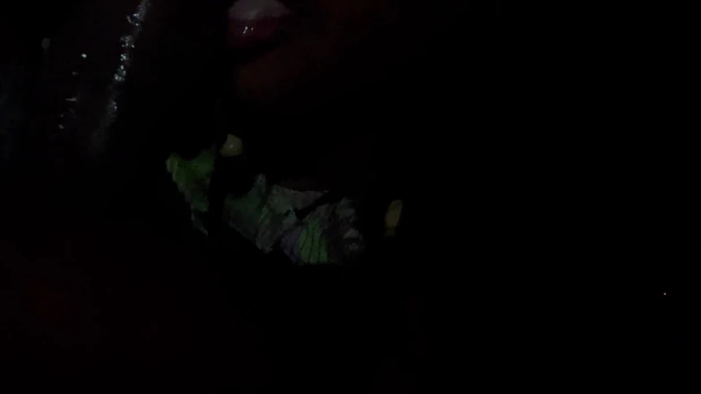 Fijii pornbox: Quick Blowjob in the Car