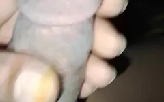 非常大的鸡巴