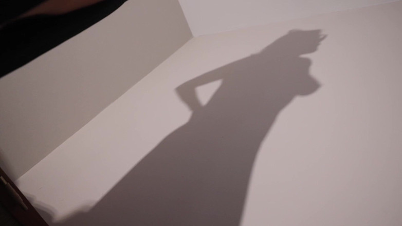 Countess diamond: Worship My Shadow - My Pleasure, Your Denial