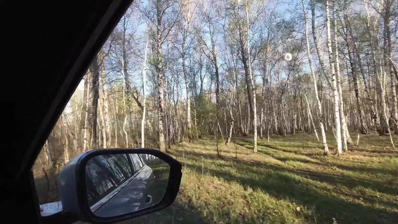 Johny84helen: En el bosque en un coche