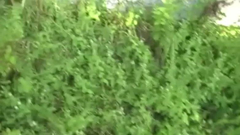 Gaybareback: Bị thống trị bởi anh chàng thẳng ngoài trời