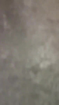 Asijský anděl 21226
