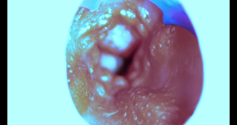 SEXY_GUYBEST: Come scopo dall'interno! Camera dentro!