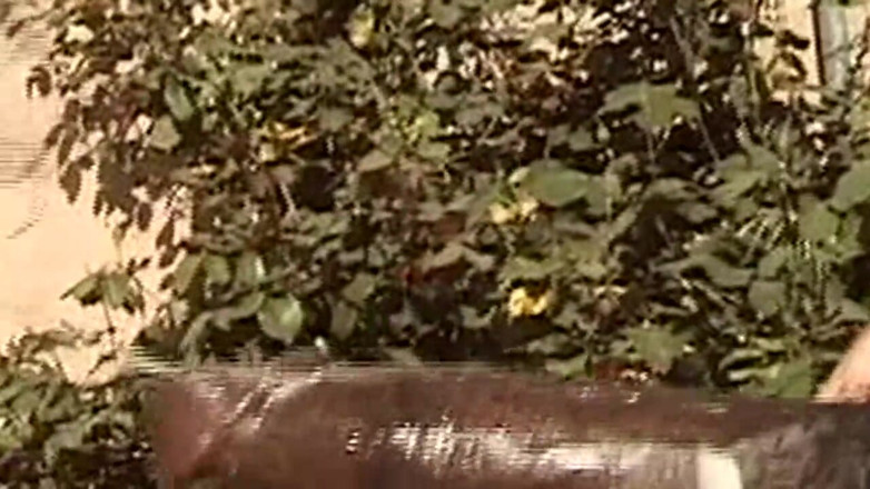 Goldenxtapes: Smiling Brunette Flashes Big Tits and Sucks Throbbing Cock