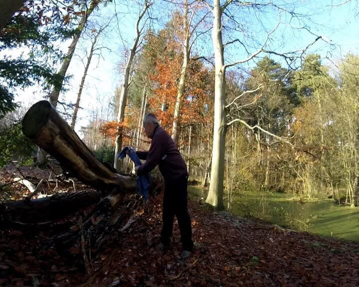 Andy: Día frío en el bosque