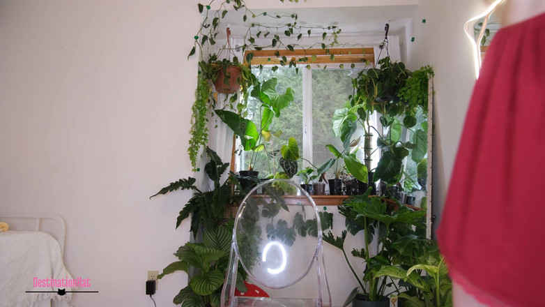 Destination Kat: Hajat Payudara yang lebih besar